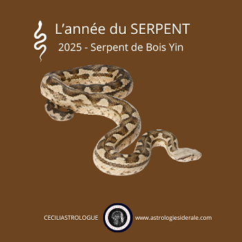 2025, année du Serpent du bois Yin