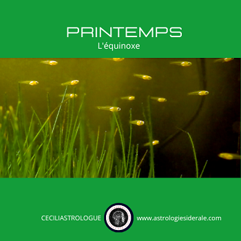 L'équinoxe du printemps ?