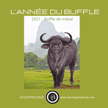 L'année du Buffle de métal 2021