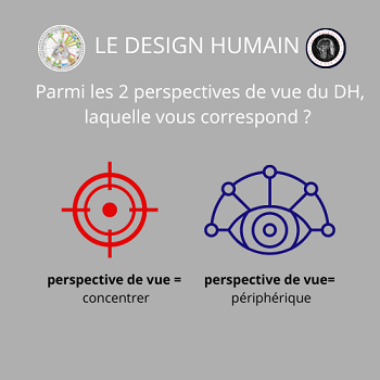 Quelles sont les 2 perspectives de vue du DH ?