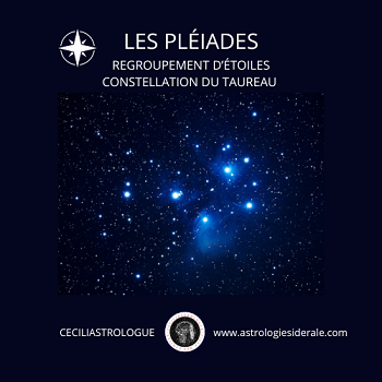 Que regroupe les Pléiades ?