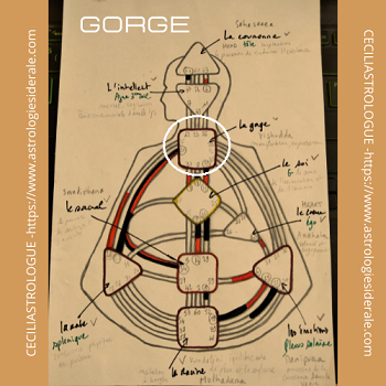 Le centre de la gorge