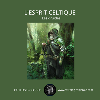 L'esprit Celtique, les druides