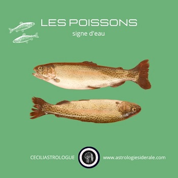 Le poisson, le fuyant