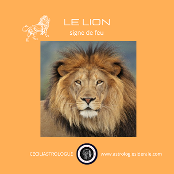 Le lion, l'orgueilleux