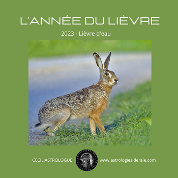 L'année du lièvre d'eau 2023