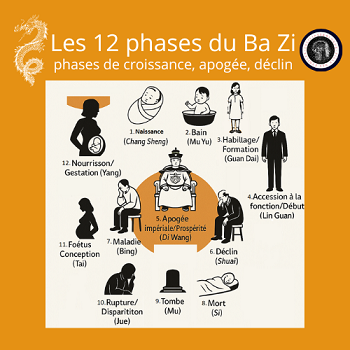 Les 12 phases du BA ZI