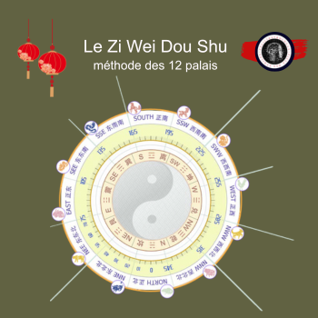 Le Zi Wei Dou Shu