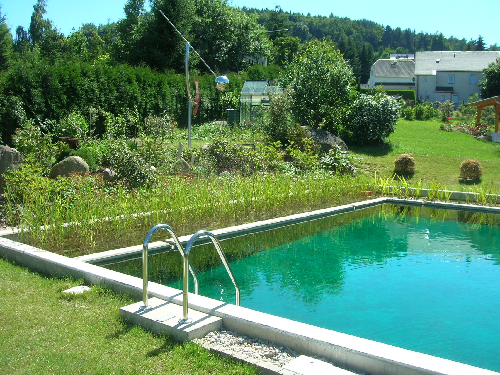 Schwimmteich in Steina, 2014