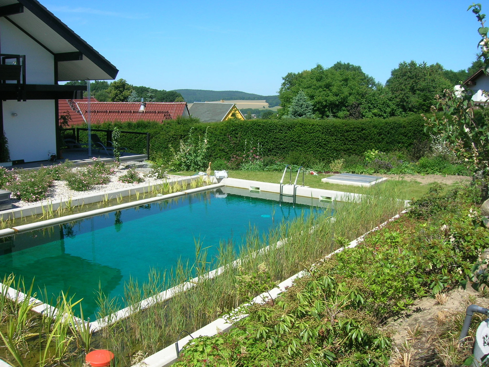 Schwimmteich in Steina, 2014
