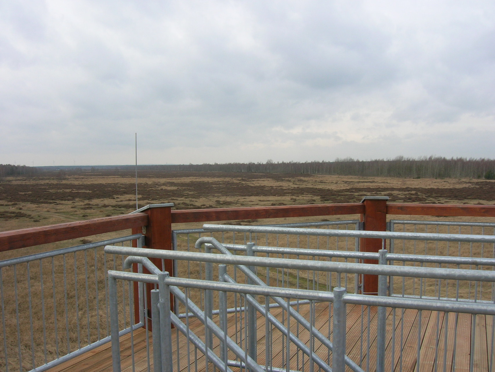 Aussichtsplattform, Naturschutzgebiet Gohrischheide bei Zeithain, 2014