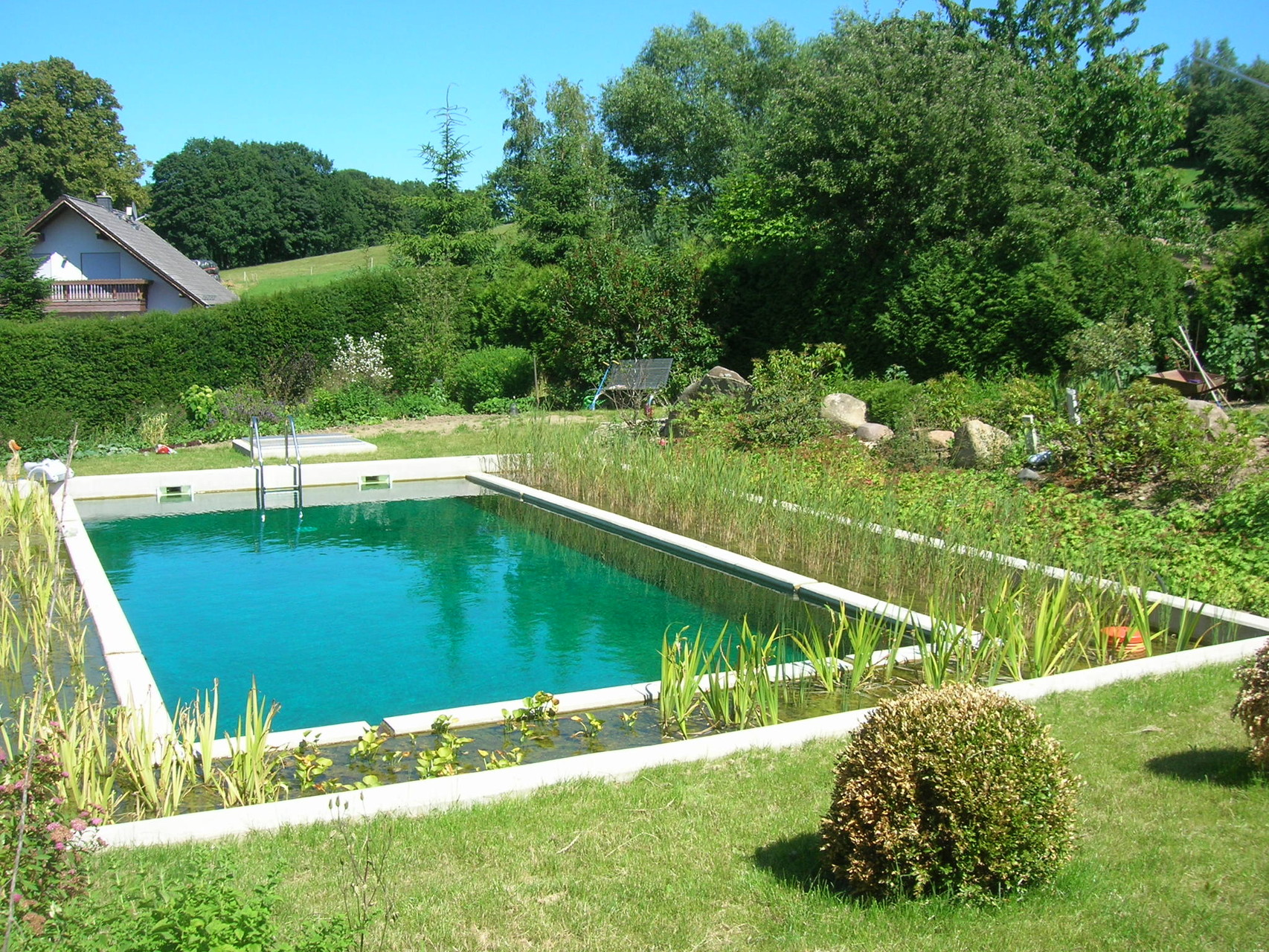 Schwimmteich in Steina, 2014