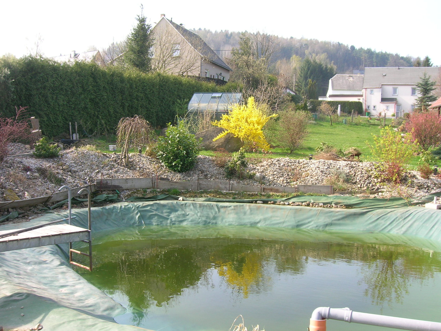 Schwimmteich in Steina, 2014