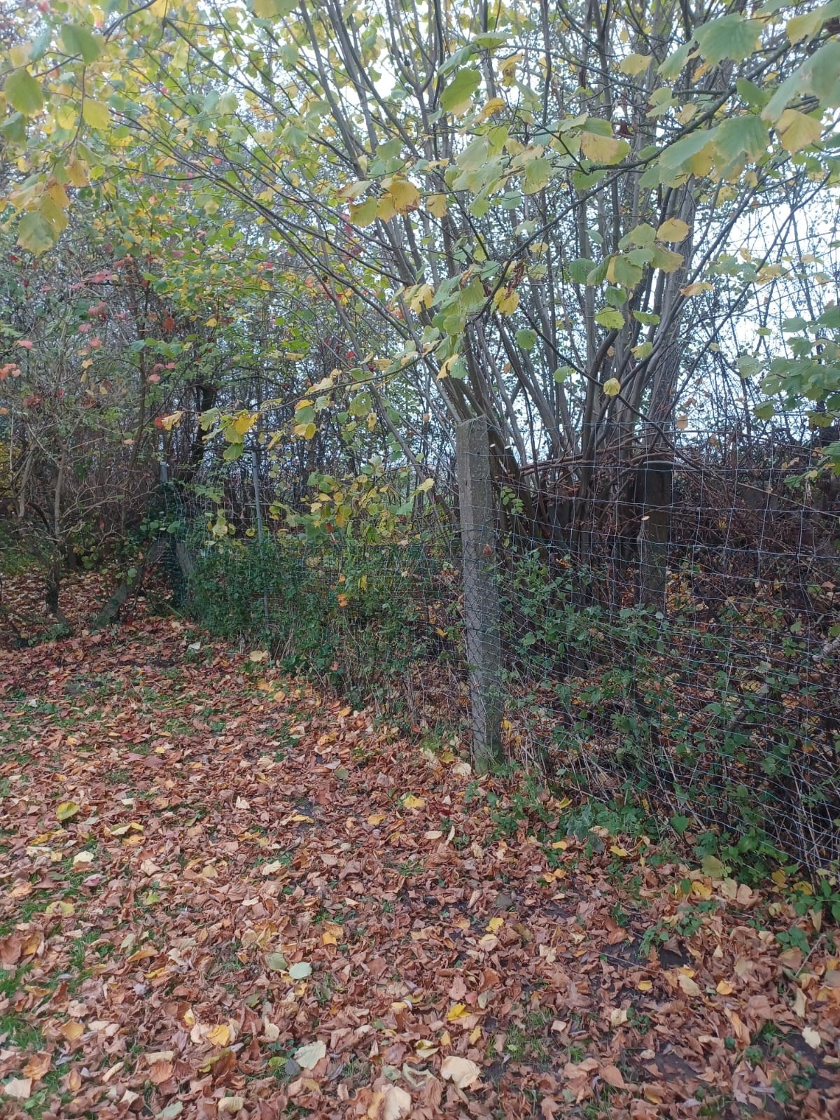 100 Meter Wildzaun montiert.
