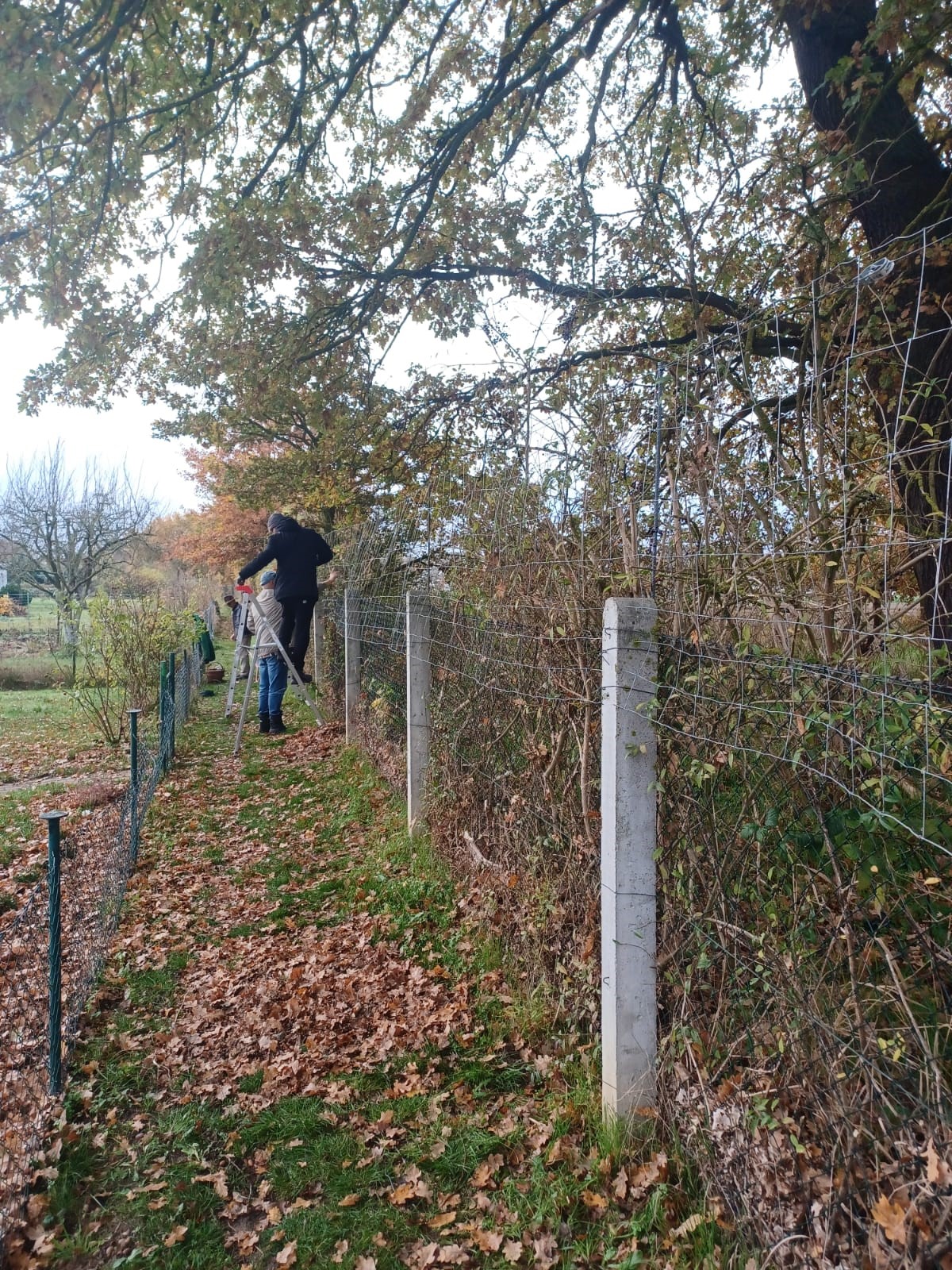 im Weg 1 und weiter zum