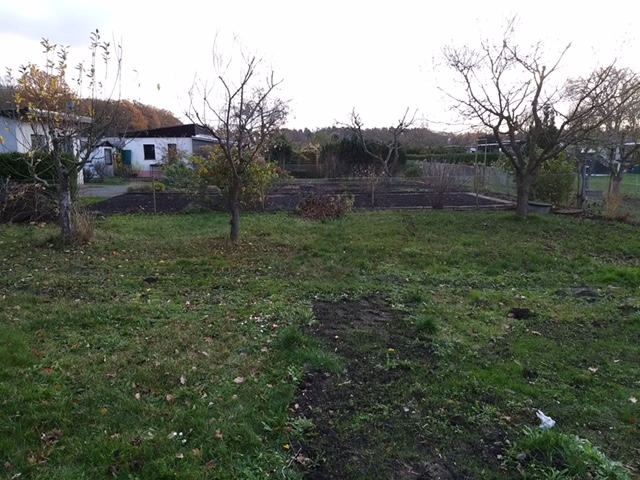 der Garten wird nach und nach kultiviert