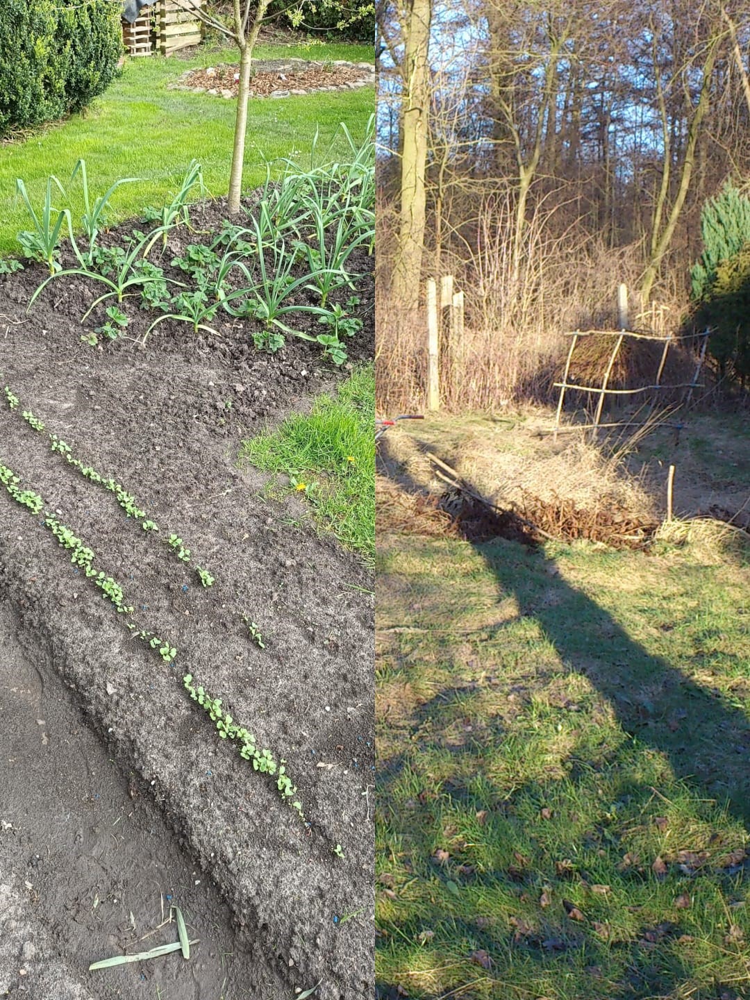 zwischen den Aufnahmen liegen jeweils ca. 12 Jahre