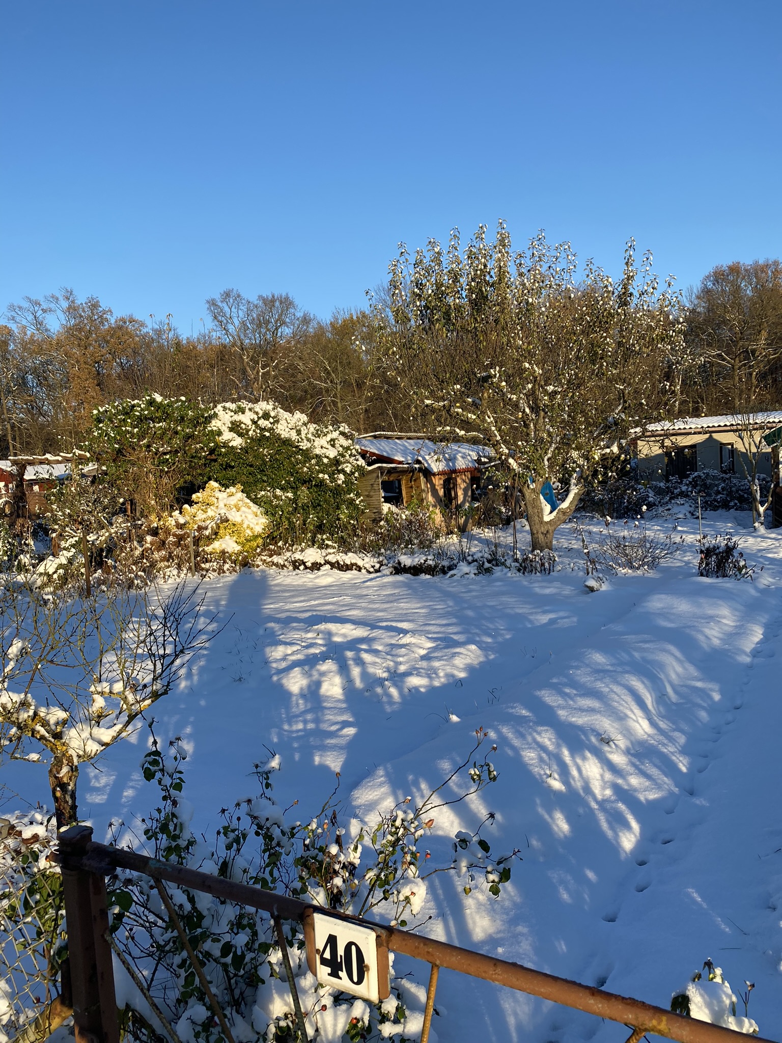 Schnee und tief stehende Sonne