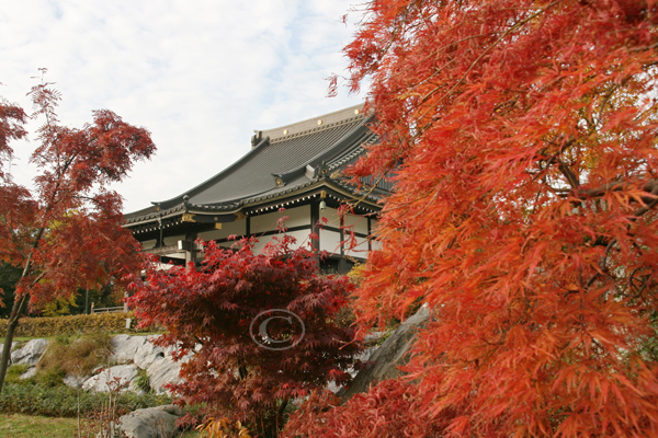 japanischer Tempel