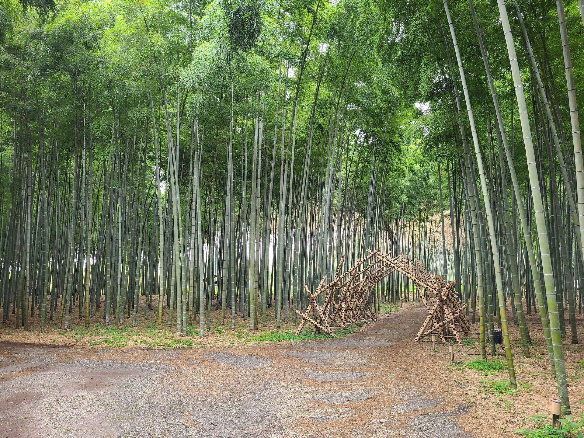 若竹の杜／若山農場にみる1点集中の魅力