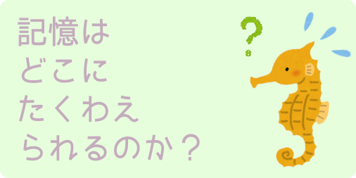 記憶はどこにたくわえられるのか？