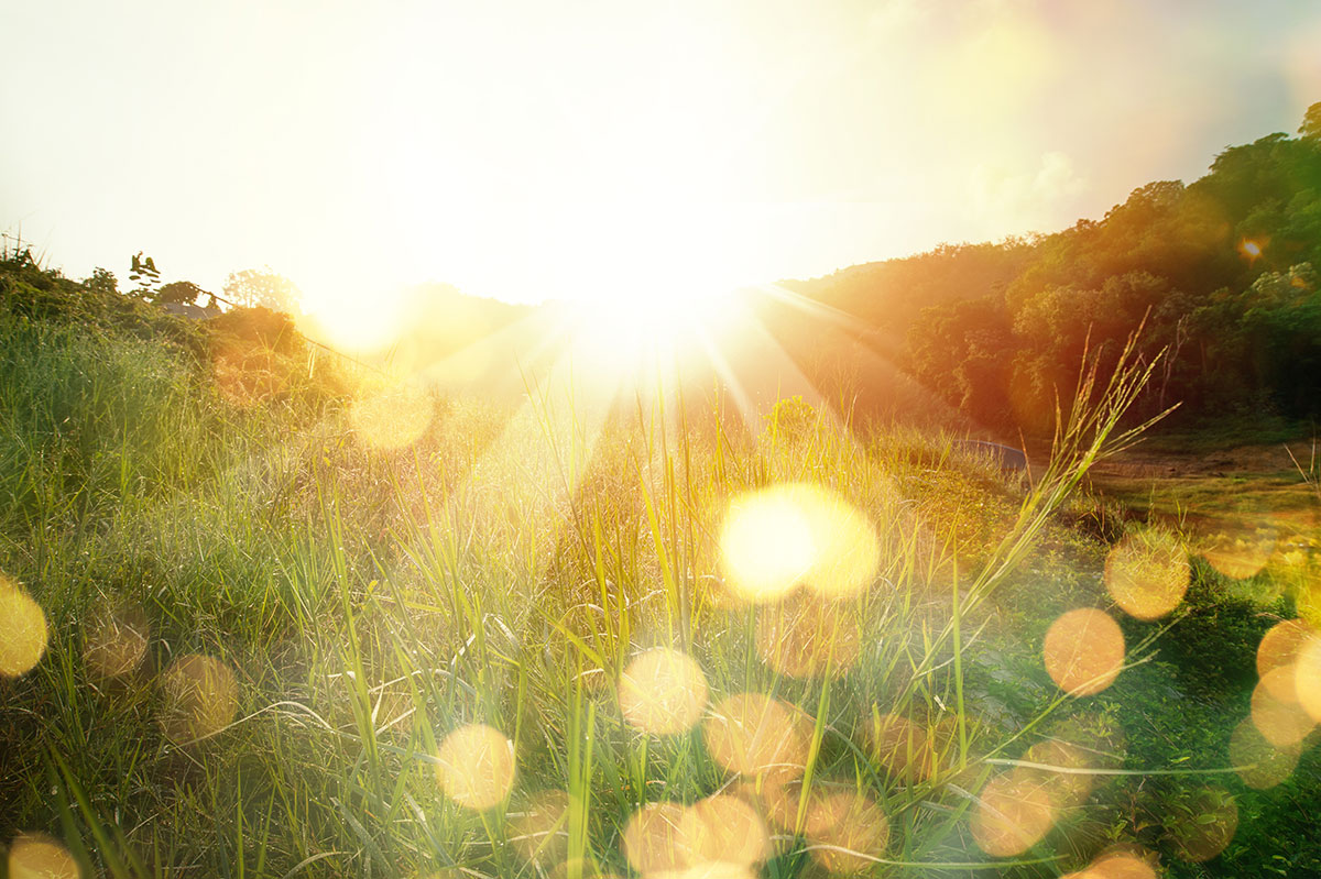 Sonnenlicht wirkt positiv bei MS