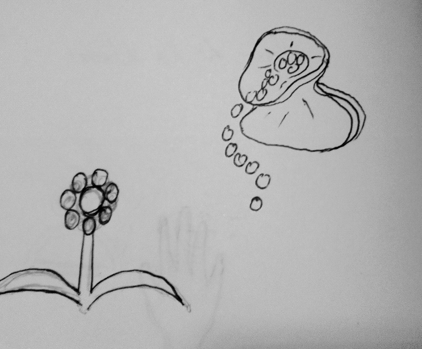Le sac de graines de Kernunos, les grains du temps. Chacun aurait été divisé en 4 parts. De la viennent les plantes de la vie et de l'histoire qui pousse dans la lumière. Les cycles de vie, il existe une tour ire de phrase en France qui dit:"prenez en de la graine!" Et signifiant "prendre de l'expérience".