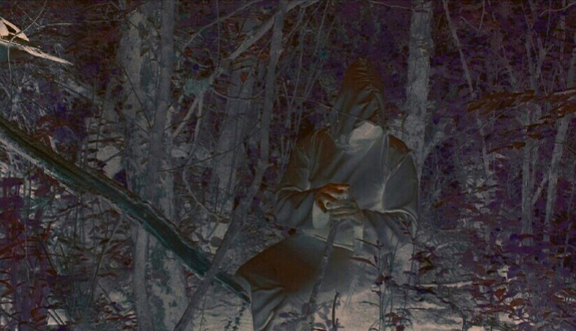 Druide magicien