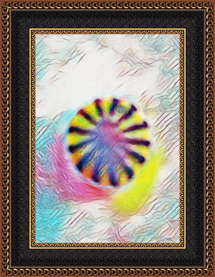 La nature, l'art et les chiffres druidiques.