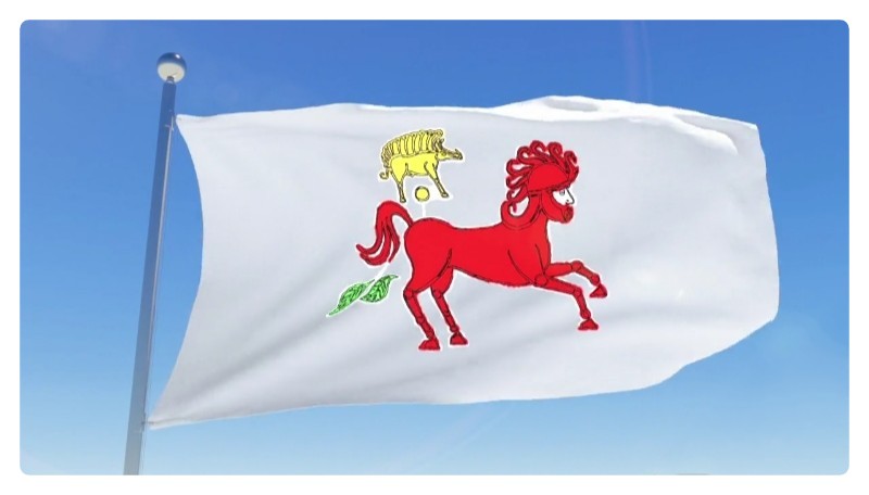 Symbolisme du drapeau gaulois, il regroupe les trois symboles les plus présents dans le graphisme des gaules.