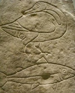 Le poisson.