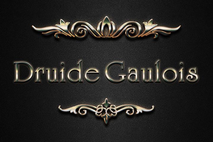 Druide, le lion philosophe. Les ancêtres pratiquèrent l'ascèse et la juste valeur dans l'effort. 