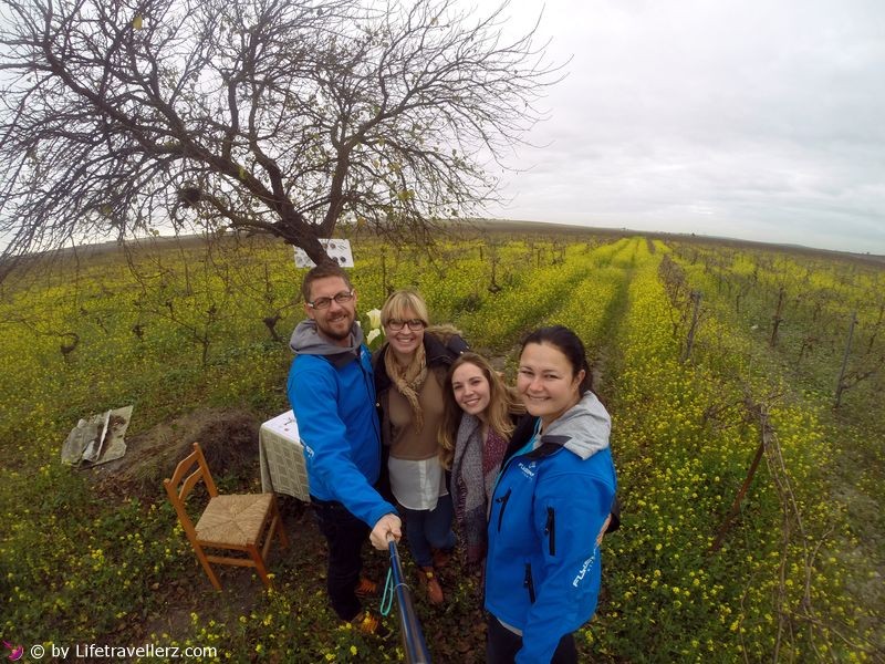 Weinberge von Spirit Sherry in Jerez de la Frontera