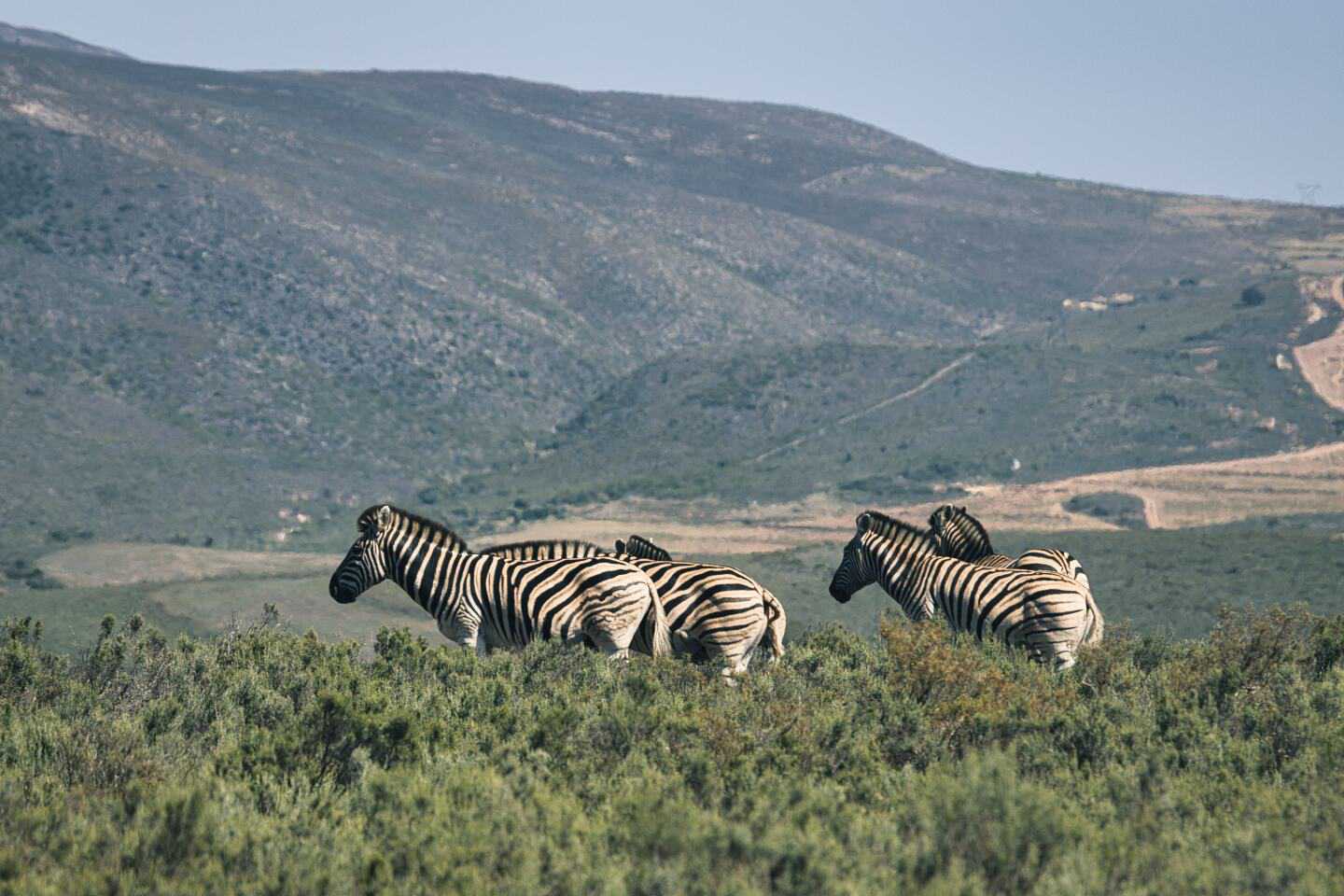 Melozhori Private Game Reserve