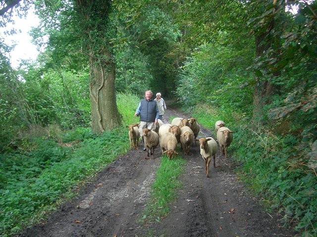 Wir wandern zu einer neuen Weide