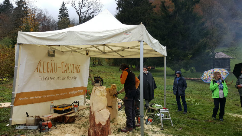 Holzertreffen Oberstdorf - Schnitzen mit der Kettensäge - Allgäu-Carving by Martina Gast