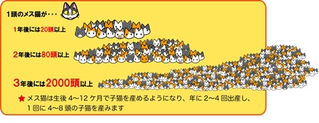 環境省パンフレット 「もっと飼いたい？」 Ｐ3より