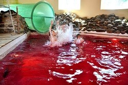 bloedbad in océade