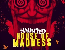 Dimitri Vegas & Like Mike Haunted House of Madness