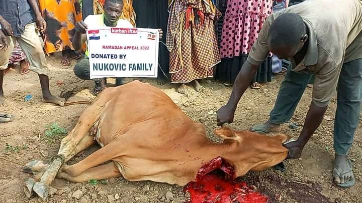 Qurban Sacrifice