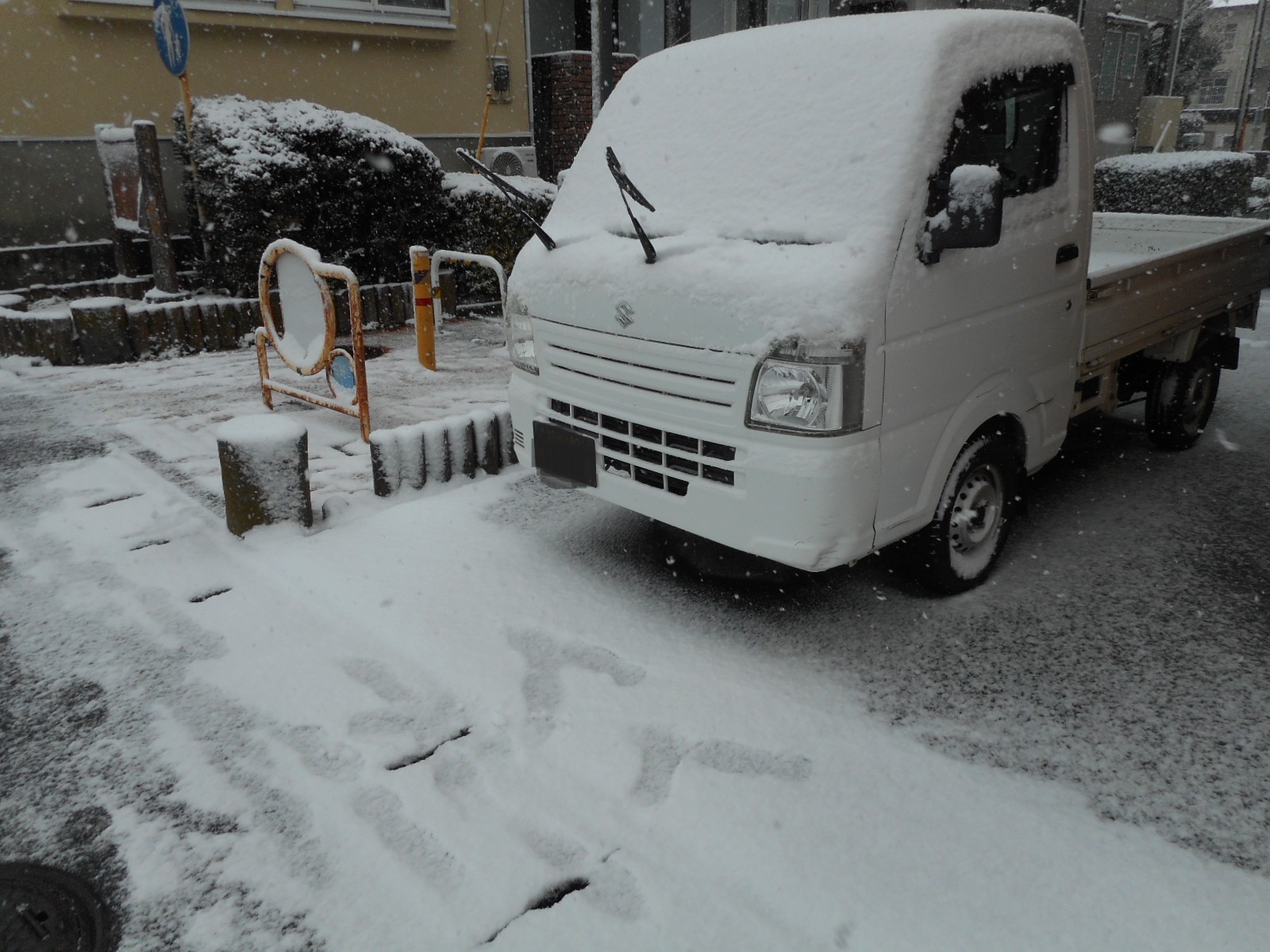 雪です