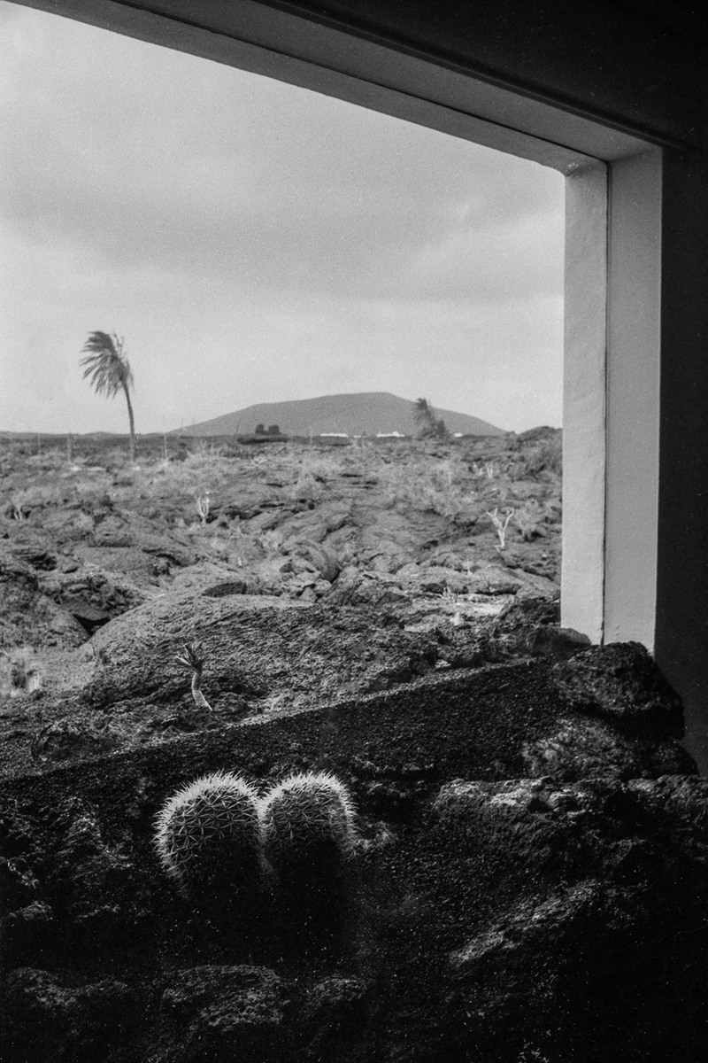 © David Duchon-Doris