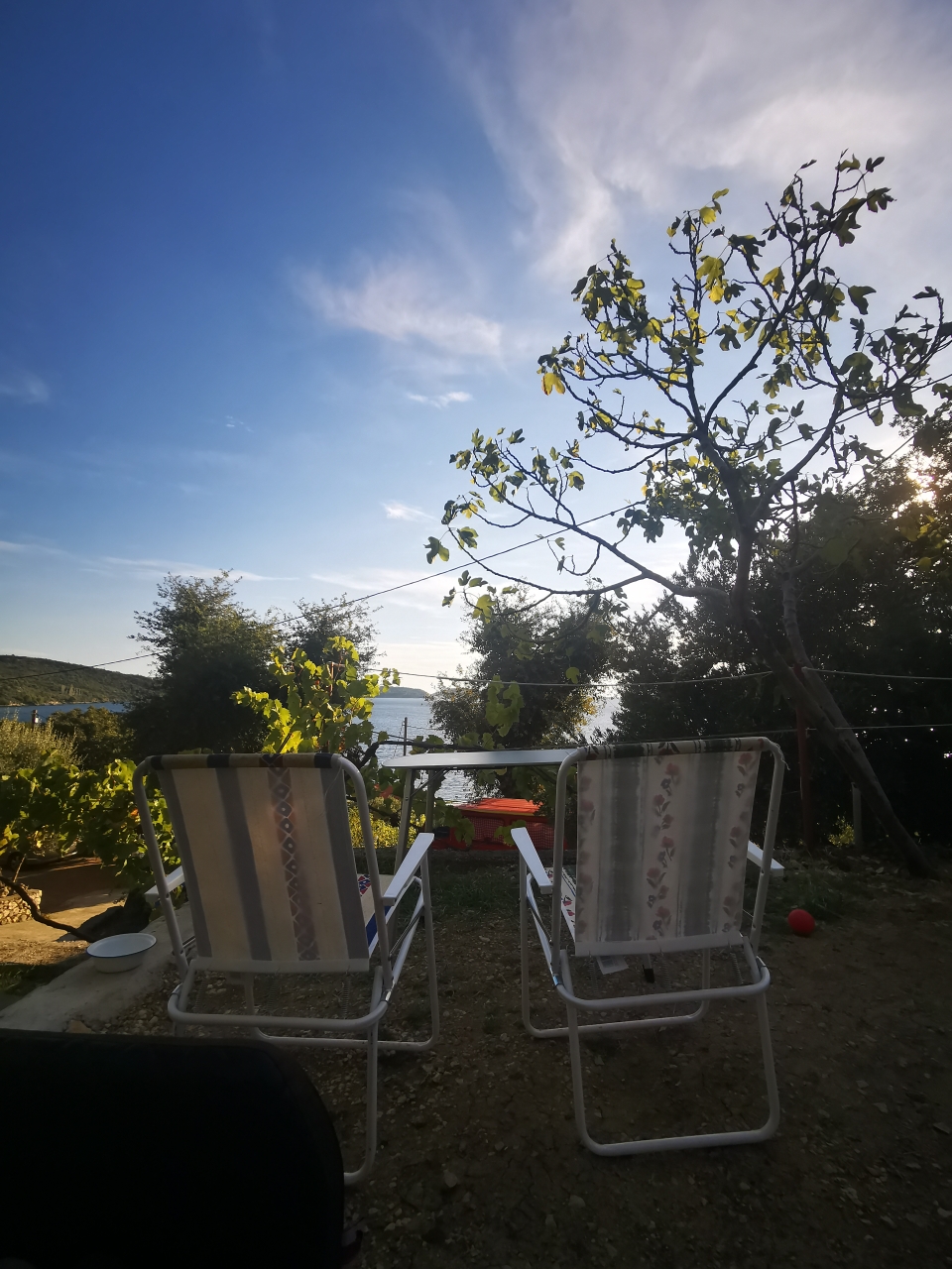 Wir suchen uns einen Campingplatz unter Olivenbäumen. 