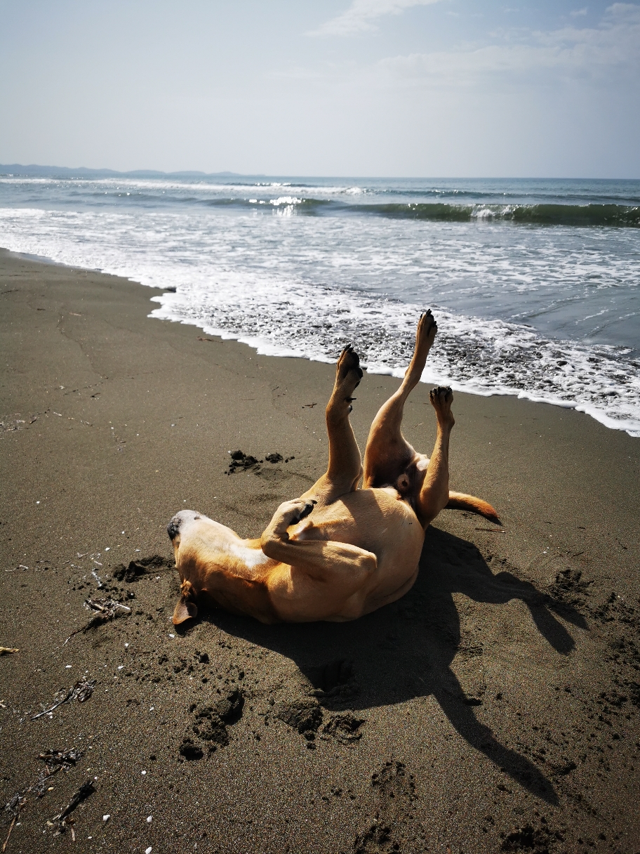 Alle freuen sich. Über Meer. Über wenig Menschen. Über Sonne. 