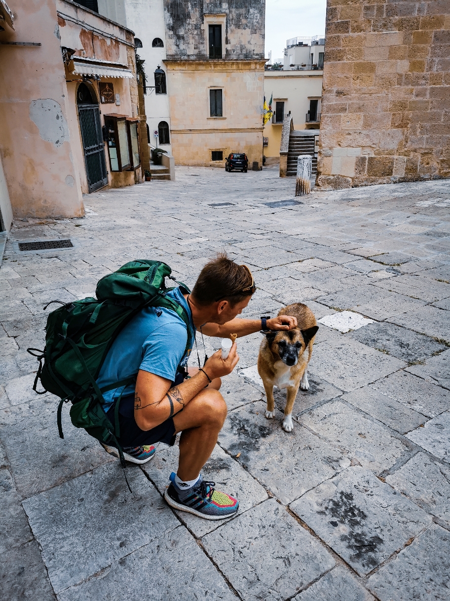 Wir treffen Pippo...den Straßenhunde des Städtchens. Zumindest kennt und mag ihn jeder. 