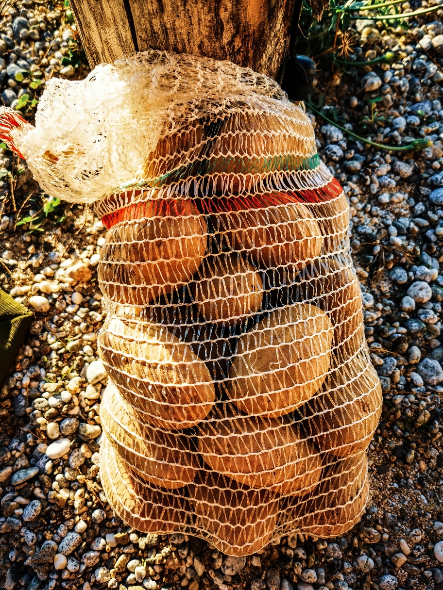 Kalabrische Kartoffeln. Sollen super sein. Haben wir im Bergdorf gekauft. Gab leider nur einen 4 KiloSack. 🤷‍♀️