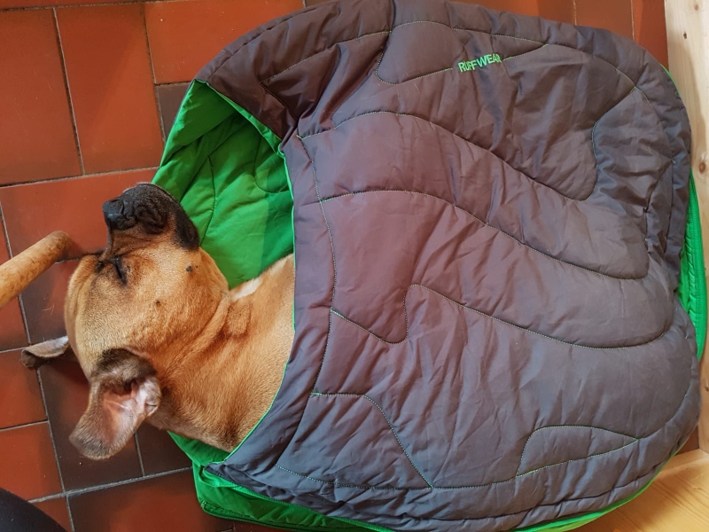 Unsere kleine Fledermaus ist  ein bisschen kaputt.  :)