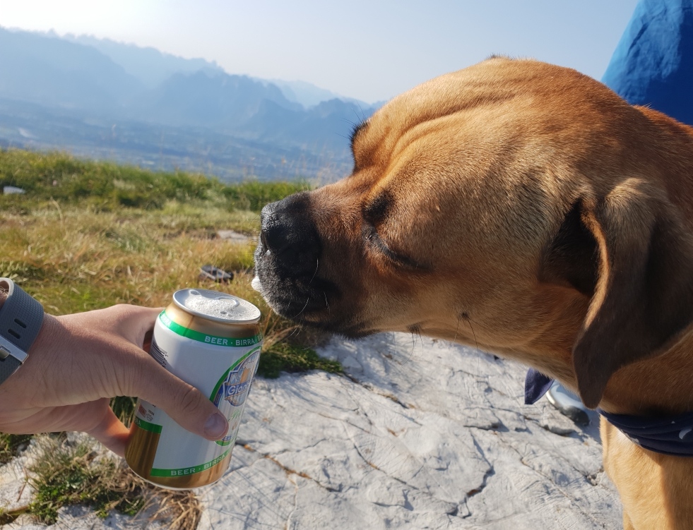 Darauf darf man auch mal anstoßen (bevor geschimpft wird-Alfred durfte nur mal ganz kurz die Zungenspitze ranhalten 🤗)