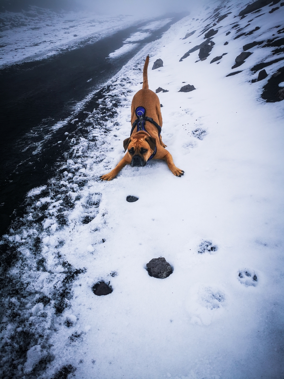 Schnee mag ich 💙