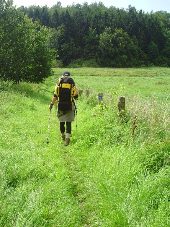 Pilgerin auf dem Weg zwischen Bad Oldesloe und Kloster Nütschau